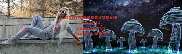 круглые Алексин