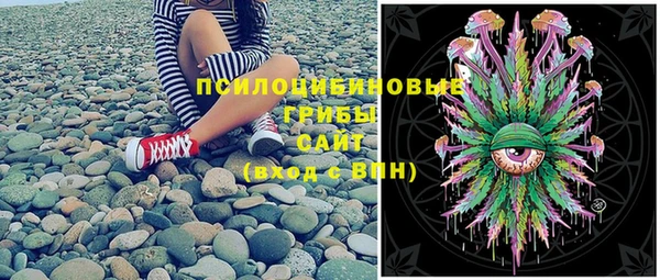 МДПВ Алексеевка